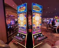 sunvip